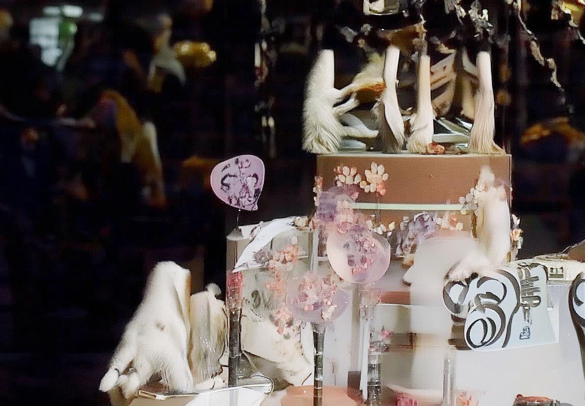 巴西VS玻利维亚：足球对决，文化交融盛宴